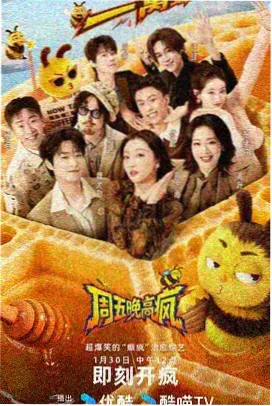 手机高清综艺